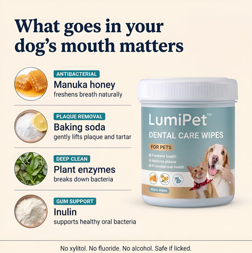 LumiPet™ DentaWipe