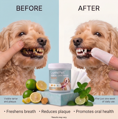 LumiPet™ DentaWipe